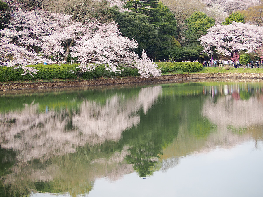 県立三ツ池公園